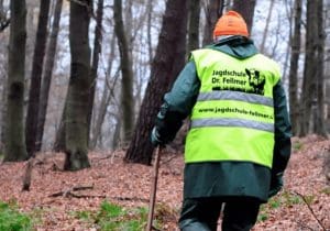 Planung & Organisation von Drückjagden